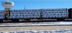 CNIS 623101